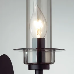 6555/1W CLASSI LN26 100 черный/дымчатый/металл/стекло Бра E14 1*40W 220V MADONNA