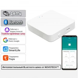 359392 GATE NT24 050 белый Интеллектуальный Bluetooth-шлюз Tuya Smart Life для умного дома IP20 GLAT