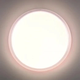 7776/DLN PALE SN 110 Светильник пластик/белый LED 48Вт 3000/4000/6000К D400 IP43 CCT JOLLY
