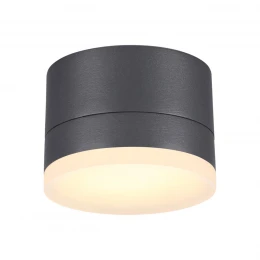 358084 STREET NT19 728 темно-серый Ландшафтный светильник IP54 LED 3000К 12W 220V KAIMAS