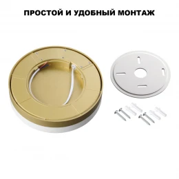 359734 STREET NT25 780 золото матовое Светильник ландшафтный с переключ. цв. температуры и мощности LED IP65 30/35/40W 180-265V 2700К\3200К\4000К OPAL