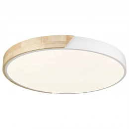 445-047-01 VELANTE Светильники с LED светильник потолочный: LED, 48W, 3000/4000/6000K