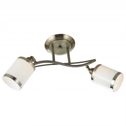 713-507-02 VELANTE Классический стиль светильник потолочный: E27, 2x60W