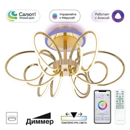 CL224A162 SALMA Смарт Золото Люстра