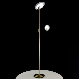 CL802003 Дискус Брон.Стар. Св-к LED Торшер
